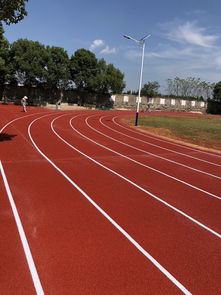 塑膠場(chǎng)地預(yù)制型跑道卷材 廠家報(bào)價(jià)與鞋透氣性能解析