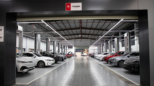 比亞迪自營車險首單落地 比傳統險企省600元，這事兒靠譜嗎？